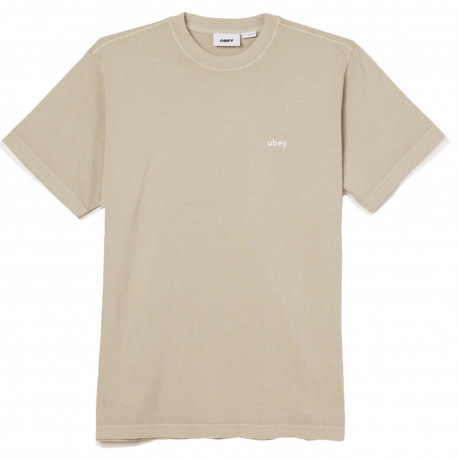 Lowercase pigment tee ss - Pigment abbey stone