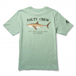 SALTY CREW, Bruce boys s/s tee, Mackerel