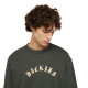 DICKIES, Dickies x spitfire long sleeve tee, Olive green