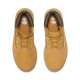 TIMBERLAND, Timberland premium 6 inch lace up waterproof boot, Wheat