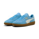 PUMA, Palermo, Blue