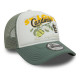 NEW ERA, Fruit graphic trucker stlcar, Evg