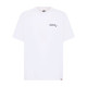 DICKIES, Dickies snake ss tee, White