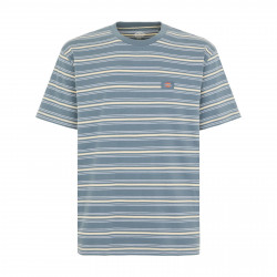 DICKIES, Lewistown stripe ss tee, Stormy weather